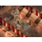 Baldurs Gate II - Schatten von Amn - Screenshot 5